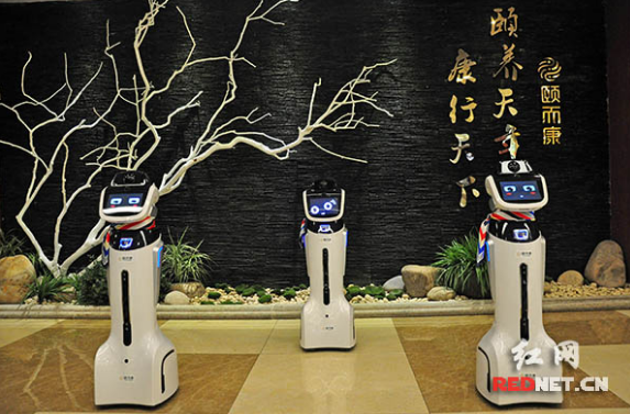 機器人又萌又聰明？ 頤而康邀您去“驗身”